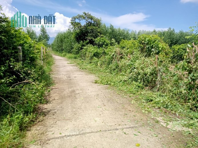 Dự án Đất Suối Tiên-Diên Khánh – Kết Nối Độc Đáo Cho Sự Đầu Tư Thông Minh!