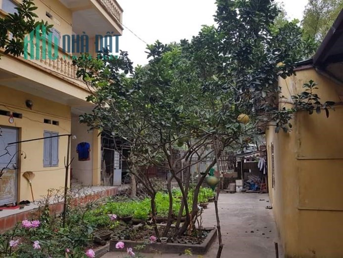 Bán Nhà Mặt Phố Hoàng Tăng Bí 290m2, nhà C4 Chủ nhà bán đất tặng  xưởng + nhà cho các nhà đầu tư,