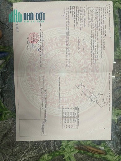 BÁN NHÀ CẤP 4 XÃ TÂN THẠNH ĐÔNG CỦ CHI GIÁ 3.2 TỶ