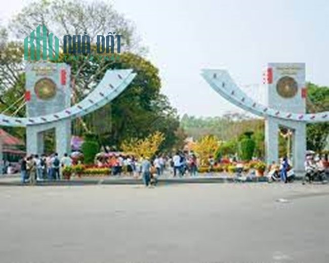 Bán nhà ngộp HXH kinh doanh CMT8, P5, Tân Bình, 64m2, 2 tầng, cách MT 40m.