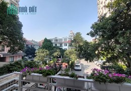BÁN BIỆT THỰ VIP BA ĐÌNH KHU TOÀN THỦ TƯỚNG & QUAN CHỨC CẤP CAO Ở 145M2 x 4T MT 8,2M