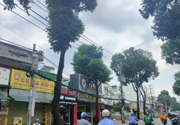 4.8 TỶ _ KHU PHÂN LÔ YÊN TĨNH HXH - 44M2 - 3PN _ GẦN CHỢ PHẠM VĂN BẠCH TÂN BÌNH _ GÒ VẤP!