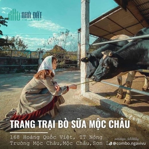CẮT LỖ ĐẤT MỘC CHÂU TẠI CHIỀN SƠN GIÁ RẺ - ĐÃ CÓ SỔ