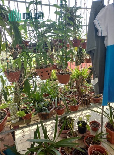 Chính chủ cần bán nhanh căn nhà Thuộc 2/7 tổ dân phố số 1, cát linh, tràng cát, hải an, hải phòng.