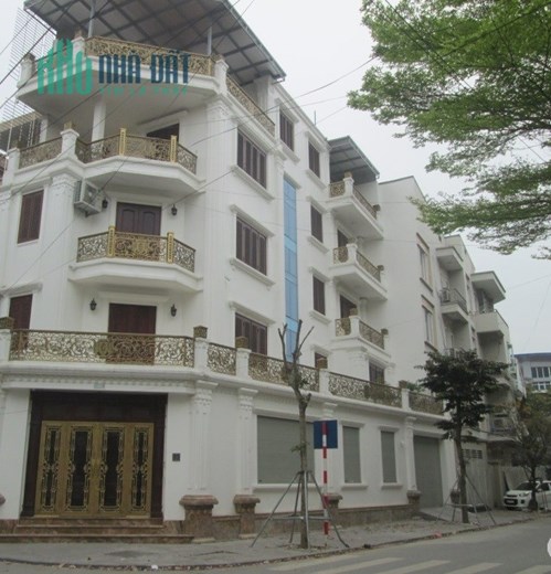 Chính chủ cho thuê nhà căn góc Mới 86m2x 4T, Kinh Doanh, VP, Trần Nhân Tông- 25 Tr