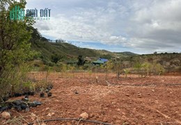 Bán lỗ lô đất Xã Đạ Nhim, huyện Lạc Dương, tỉnh Lâm Đồng (có sẵn 1 nhà tôn kiên cố + 1 nhà gỗ)