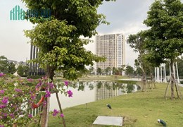 MOONLIGHT I - GIÁ TRỊ KHẲNG ĐỊNH ĐẲNG CẤP
