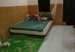 Cho thuê nhà riêng gia đình và sinh viên tại Dương Quảng Hàm, P Quan Hoa, Cầu Giấy, Hà Nội.