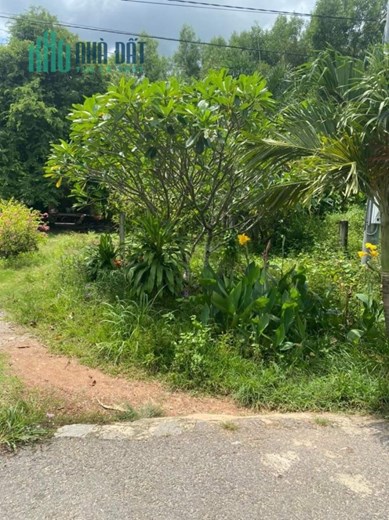 ĐẤT ĐẸP - GIÁ TỐT - Chính Chủ Bán Gấp Tại Xã Tân Bình, TP Tây Ninh - Tây Ninh