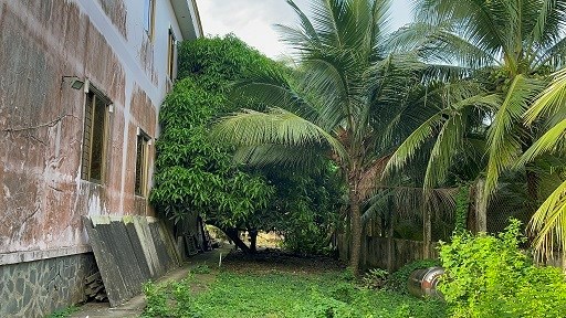 BÁN ĐẤT MẶT TIỀN ĐƯỜNG HUYỆN 86B XÃ TÂN MỸ             CHÁNH TP MỸ THO