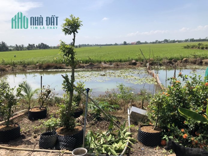 Đất Đẹp - Giá Tốt - Chính Chủ Cần Bán Lô Đất Vị Trí Đẹp Tại  xã Mỹ lạc,  huyện Thủ Thừa,