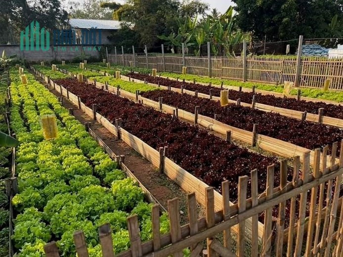 BÁN LÔ ĐẤT ĐẸP VIEW BIỂN HỒ PLEIKU