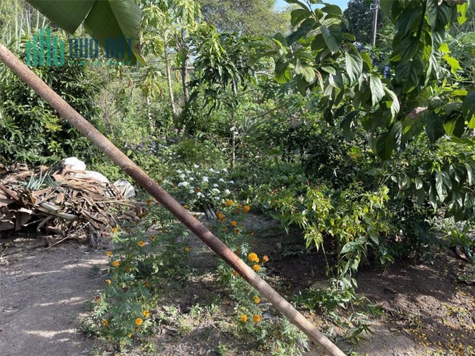 NGUỒN CHO NHÀ ĐẦU TƯ, ĐẤT THỎ CƯ ĐẸP, XÂY BIỆT THỰ VƯỜN, NGHỈ DƯỠNG, NHÀ BÈ, 220M2 CHỈ NHỈNH 4 TỶ
