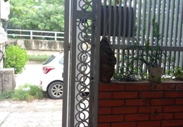 O94lO7l689 Bán nhà phố  Hoàng Hoa Thám 187m², 3 tầng, MT 5m, giá 36.6 tỷ Ba Đình. Liên hệ MUA mua