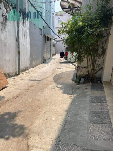 cần bán căn nhà mê lửng đúc kiệt  Trần Cao Vân giá quá rẻ. cách đường chính 30m