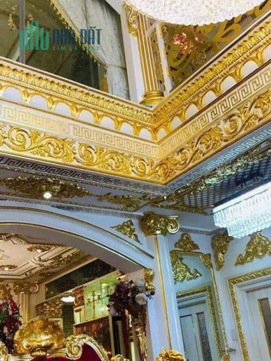 Chính chủ bán biệt thự sang trọng nhất Q7, 50m2 SHR 18.9 tỷ. Lh:0976519691.