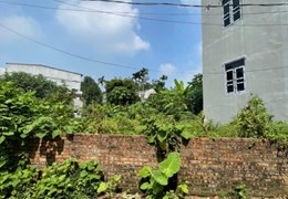 Chính chủ cần bán nhanh lô đất Thuộc Tổ 14 – khu Liên Minh – Phường Minh Phương – Việt Trì – Phú