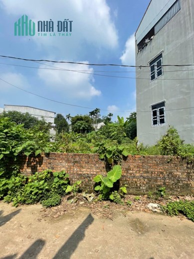 Chính chủ cần bán nhanh lô đất Thuộc Tổ 14 – khu Liên Minh – Phường Minh Phương – Việt Trì – Phú