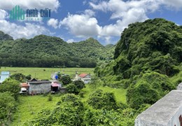 Bán 2764m2 đất Xã Trân Châu Huyện Cát Hải, sổ đỏ sẵn, 7.5tr/m2 tỷ. Lh:0986736668