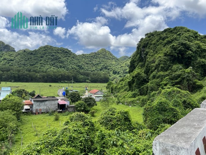 Bán 2764m2 đất Xã Trân Châu Huyện Cát Hải, sổ đỏ sẵn, 7.5tr/m2 tỷ. Lh:0986736668