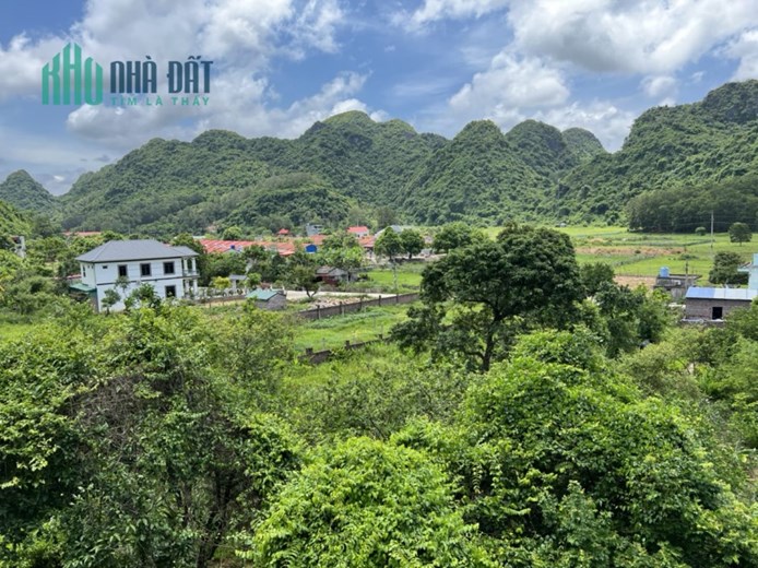 Bán 2764m2 đất Xã Trân Châu Huyện Cát Hải, sổ đỏ sẵn, 7.5tr/m2 tỷ. Lh:0986736668