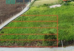 BÁN ĐẤT CHÍNH CHỦ * Em cần bán 2 lô góc chính chủ của em và 3 lô liền kề Sếp em