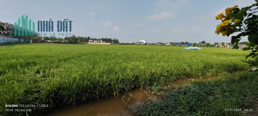 Bán lô đất lúa chuyển thổ phân lô hai mặt tiền giá 21,6 tỷ