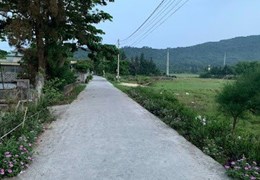 Cắt lỗ mảnh đất xã Đồng Tiến, huyện Cô Tô thích hợp kinh doanh du lịch
