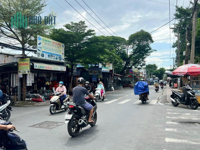 Bán nhà Mặt Tiền Bình Long ngay Tân Hương - Gò Dầu, DT: 15x40m, Cấp 4, 65 Tỷ (TL)