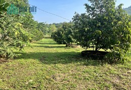 5000m2 NHÀ VƯỜN CÓ SẴN 300M2 THỖ CƯ NGAY NÚT HẠ CAO TỐC DẦU GIÂY PHAN THIẾT - LIỀN KỀ SB QT LONG