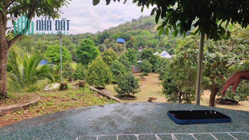 5000m2 NHÀ VƯỜN CÓ SẴN 300M2 THỖ CƯ NGAY NÚT HẠ CAO TỐC DẦU GIÂY PHAN THIẾT - LIỀN KỀ SB QT LONG