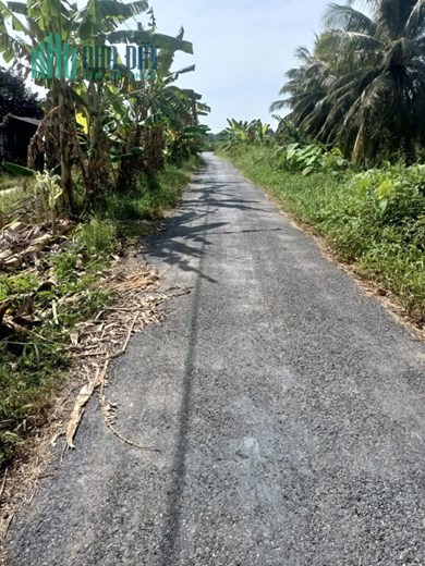 CHÍNH CHỦ CẦN BÁN LÔ ĐẤT Vị Trí Đẹp Tại huyện Chợ Gạo, Tiền Giang - Giá Rẻ
