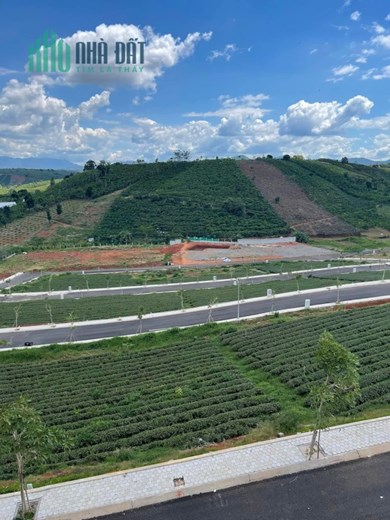 ĐẤT ĐẸP - GIÁ TỐT - THỔ CƯ 100% - View Đồi Tại Xã Lộc Tân, Huyện Bảo Lâm, Lâm Đồng