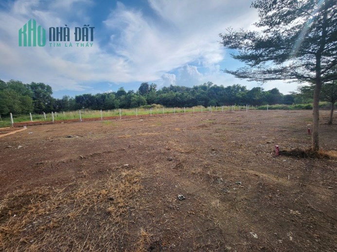 BÁN ĐẤT GIÁ RẺ TẠI TRẢNG BOM