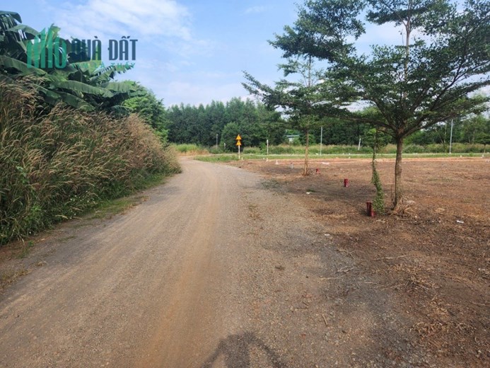 BÁN ĐẤT GIÁ RẺ TẠI TRẢNG BOM