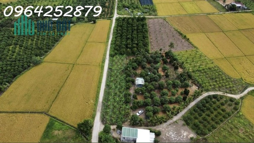 Bán vườn xoài góc 2 mặt đường ở Suối Hiệp chỉ 2,5tr/m2