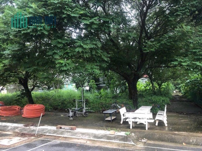 ANH CHỦ CẦN BÁN GẤP LÔ ĐẤT 204M DA XNK BƯNG ÔNG THOÀN, PHƯỜNG PHÚ HỮU , Q9