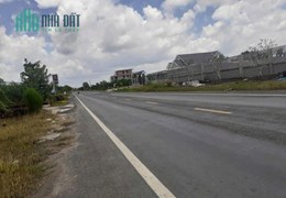 Cho thuê hoặc bán 15.000m2 đất mặt tiền ĐT878 Tam Hiệp, Châu Thành, Tiền Giang