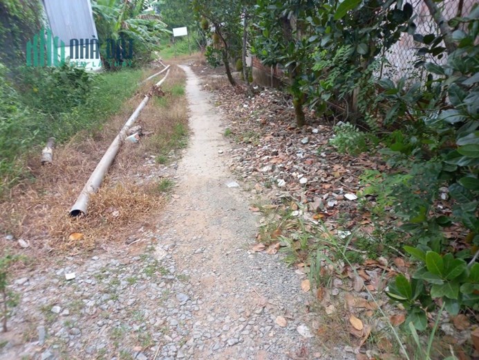 267m2 đất khu phố 1,thị trấn Mỹ Phước,Tân Phước,Tiền Giang