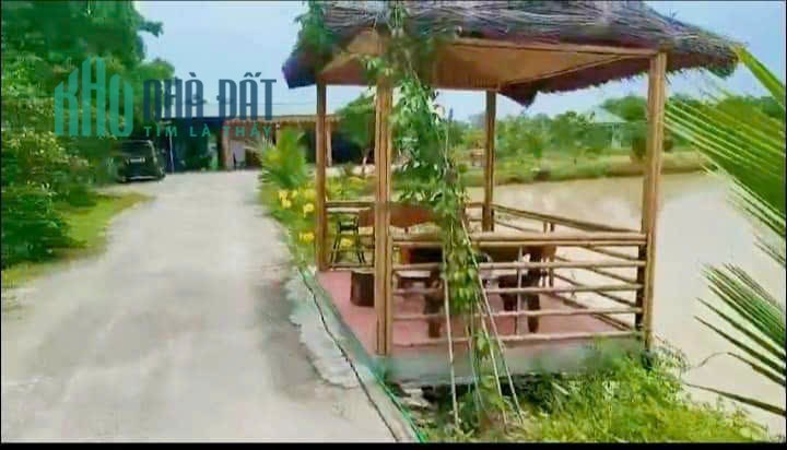 Bán trang trại nhà vườn hơn 7000m2 ngay tại Hà Nội cách KĐT Tây Nam Linh Đàm vài km.