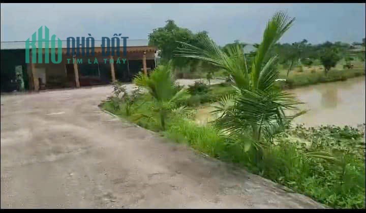 Bán trang trại nhà vườn hơn 7000m2 ngay tại Hà Nội cách KĐT Tây Nam Linh Đàm vài km.