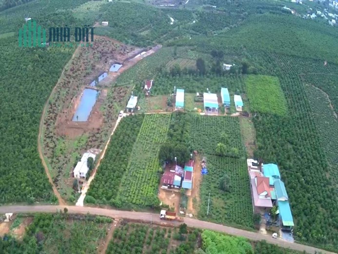 Chính chủ ra gấp lô đất phù hợp phân lô ngay MT đường tỉnh 725 nằm khu dân cư Lộc Thắng, Bảo Lâm