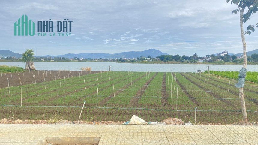 Đất mặt tiền chính hồ xuân hương view hồ nam sơn trước mặt thuộc liên nghĩa đức trọng 8 tỷ