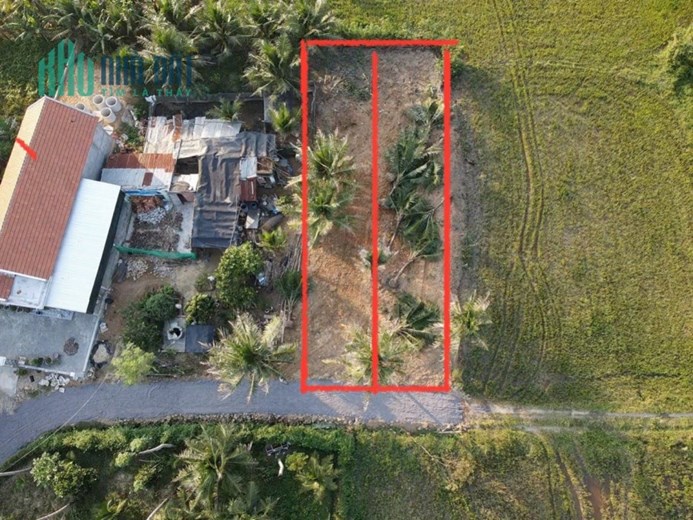 Chính Chủ Bán Đất Sổ Hồng Riêng Giá Rẻ Duy Nhất Trung Tâm Ninh Hòa