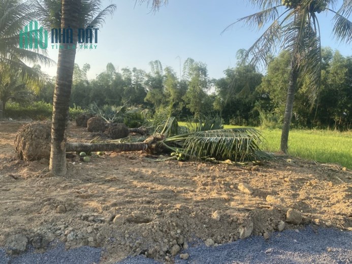 Chính Chủ Bán Đất Sổ Hồng Riêng Giá Rẻ Duy Nhất Trung Tâm Ninh Hòa