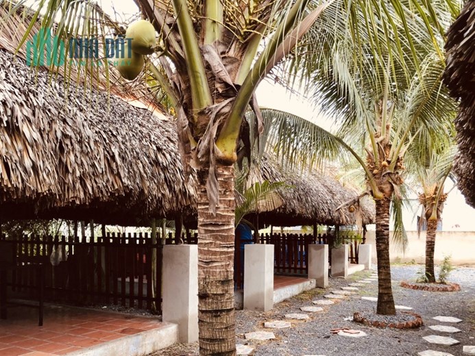 Cần Sang MBKD Quán 68 Zone Trung Tâm Nhơn Trạch