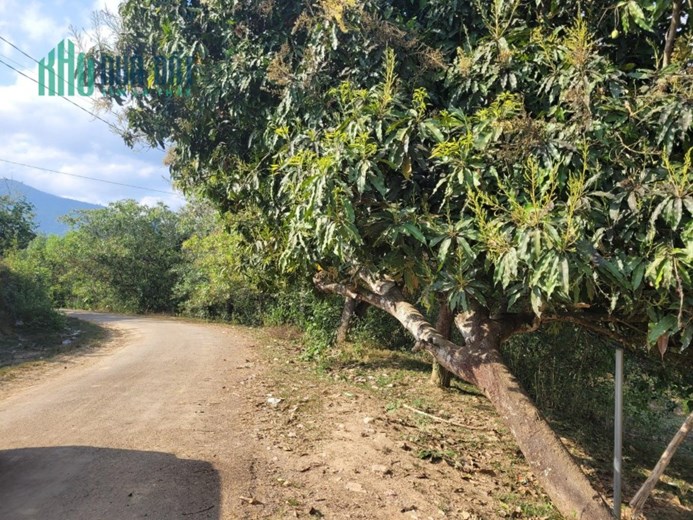 Đất Đẹp - Giá Tốt - Chính Chủ Cần Bán Lô Đất Vị Trí Đẹp Tại Xã Cầu Bà, Khánh Vĩnh