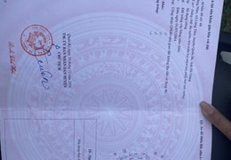 Cắt lỗ mảnh đất có diện tích siêu rộng tại Hà Giang.