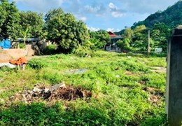 Cần bán gấp mảnh đất phù hợp làm homestay tại Mộc Châu