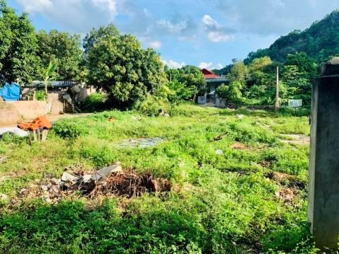 Cần bán gấp mảnh đất phù hợp làm homestay tại Mộc Châu